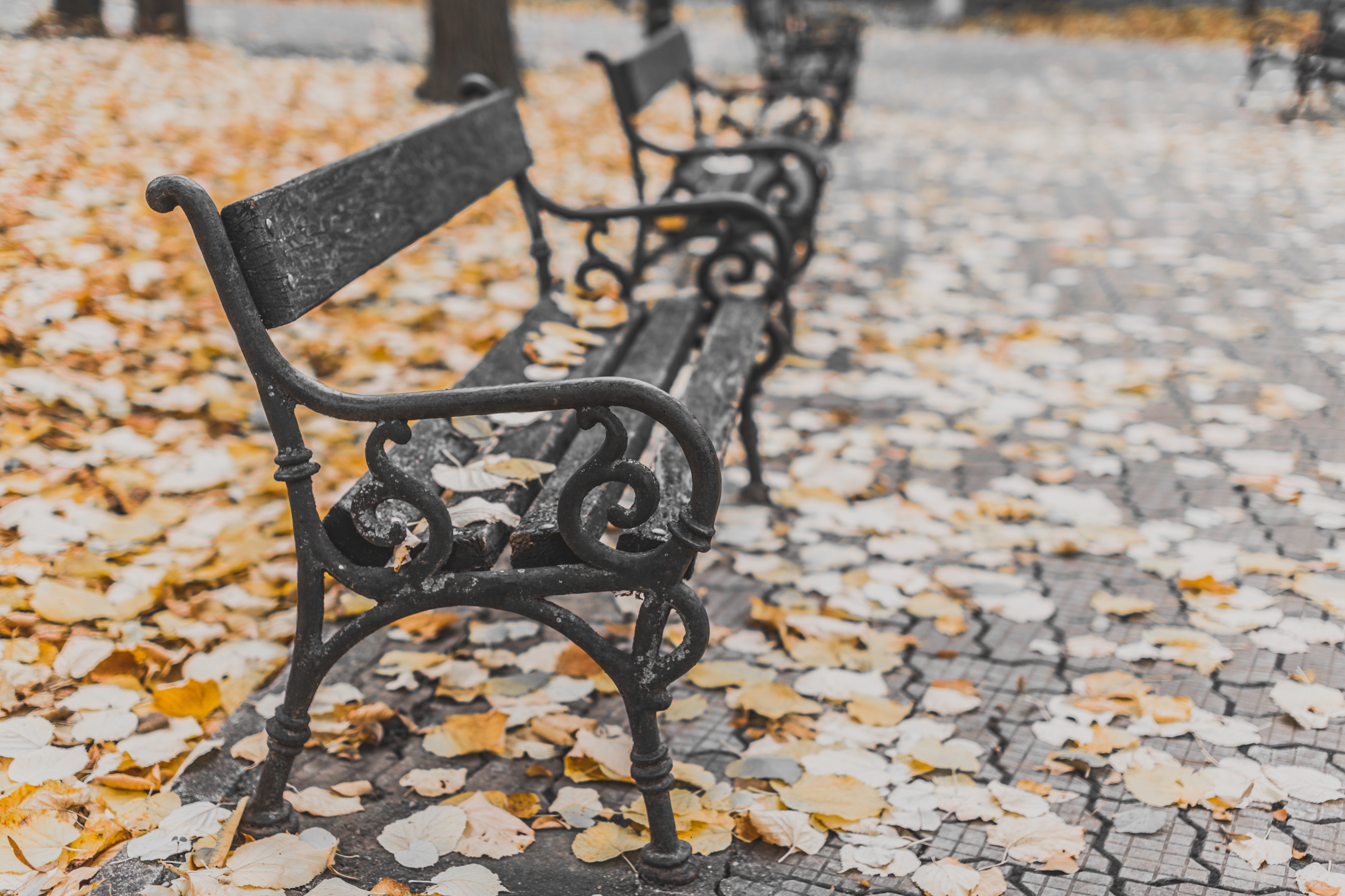 Alexandru g stavrica 161068 unsplash