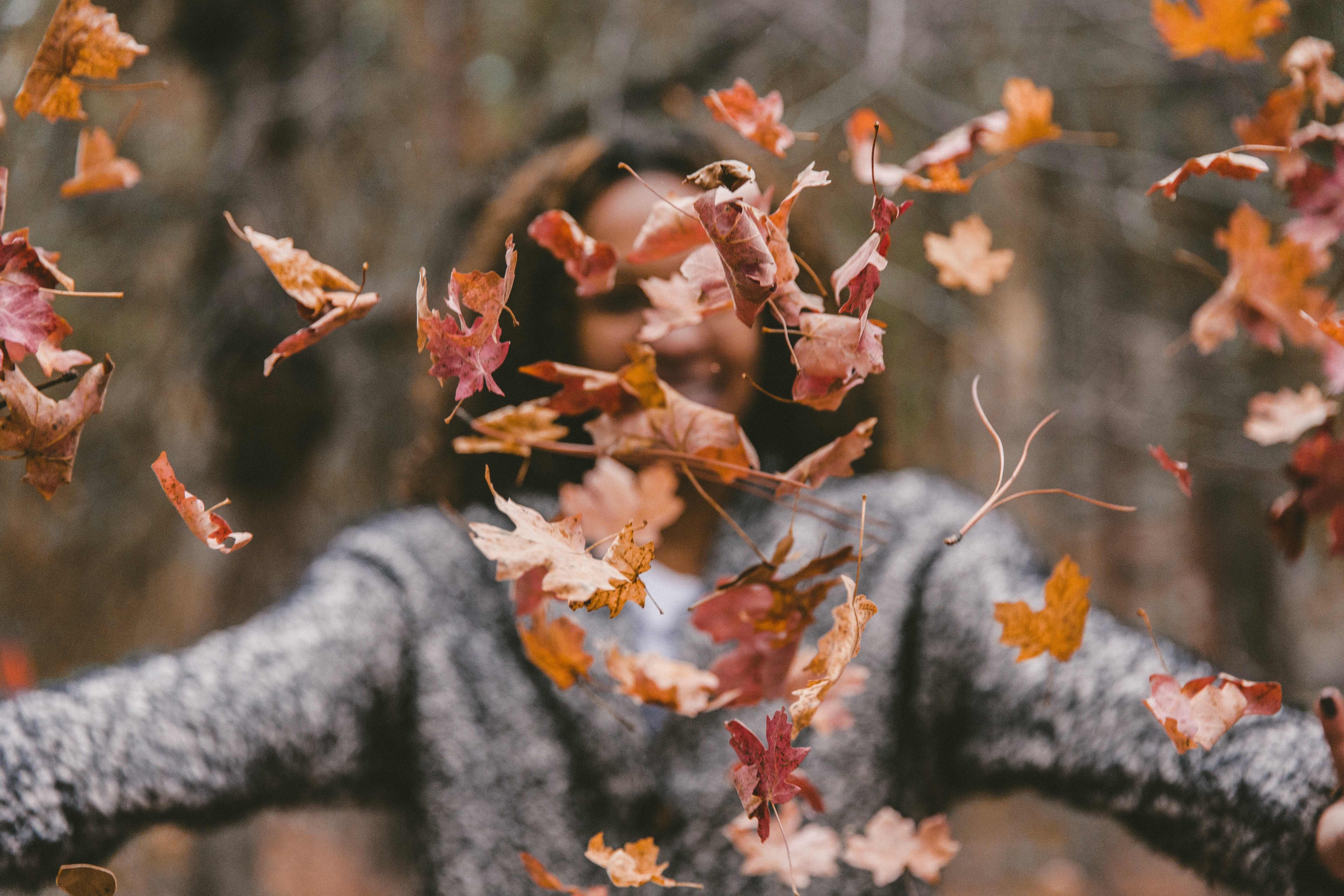 Jakob owens u E N2i6 TRM unsplash 2 MB